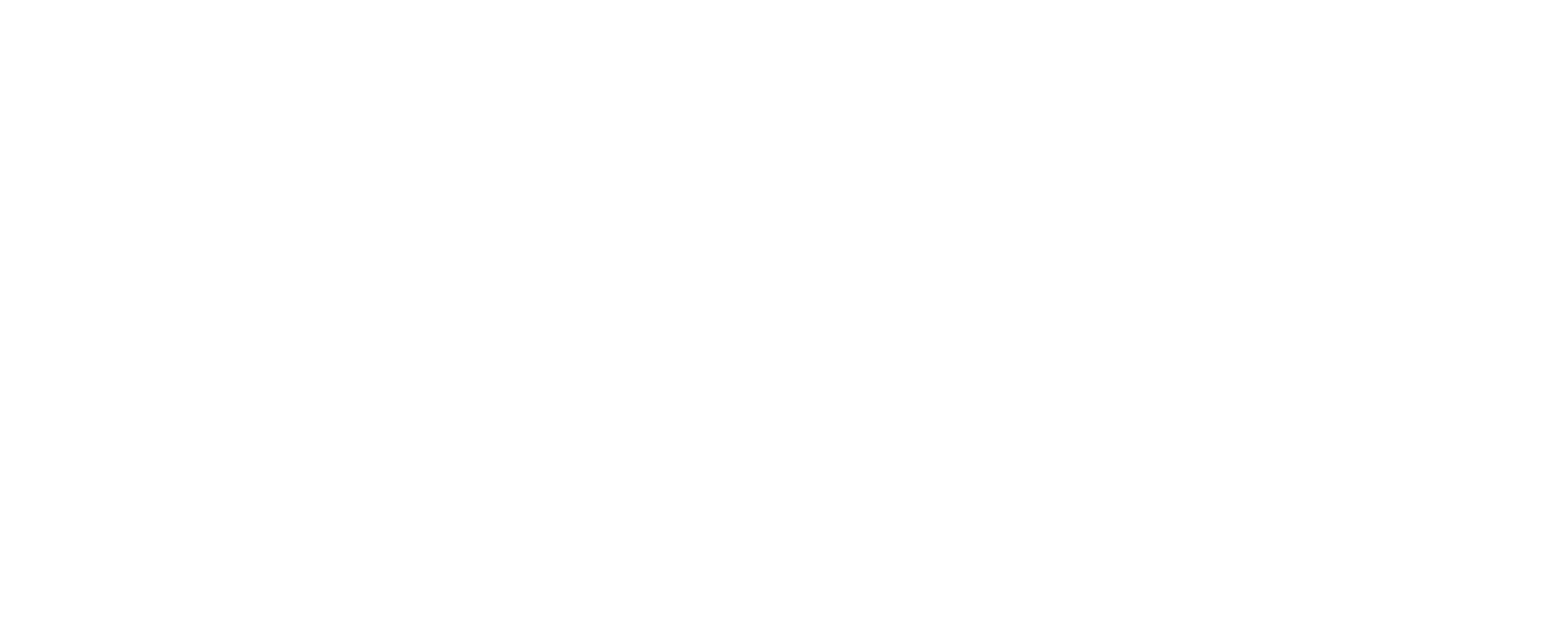 Dr Boris Vranes